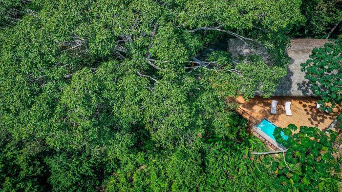 Lapa Rios Lodge By Boeena Puerto Jiménez Szoba fotó