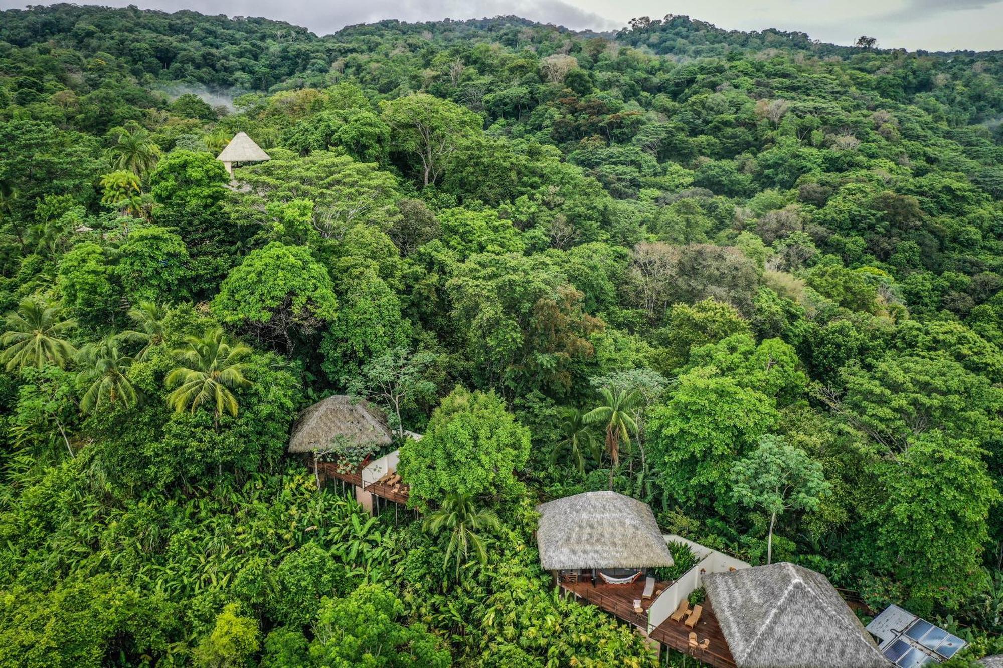 Lapa Rios Lodge By Boeena Puerto Jiménez Kültér fotó