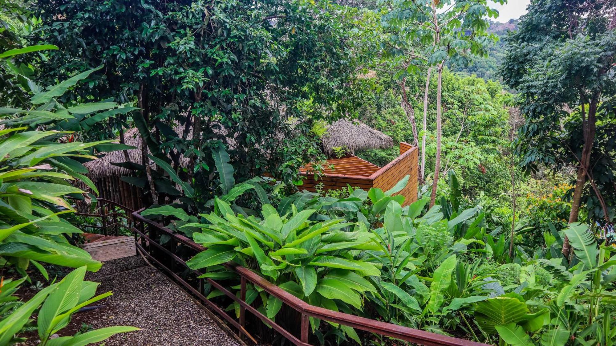 Lapa Rios Lodge By Boeena Puerto Jiménez Kültér fotó