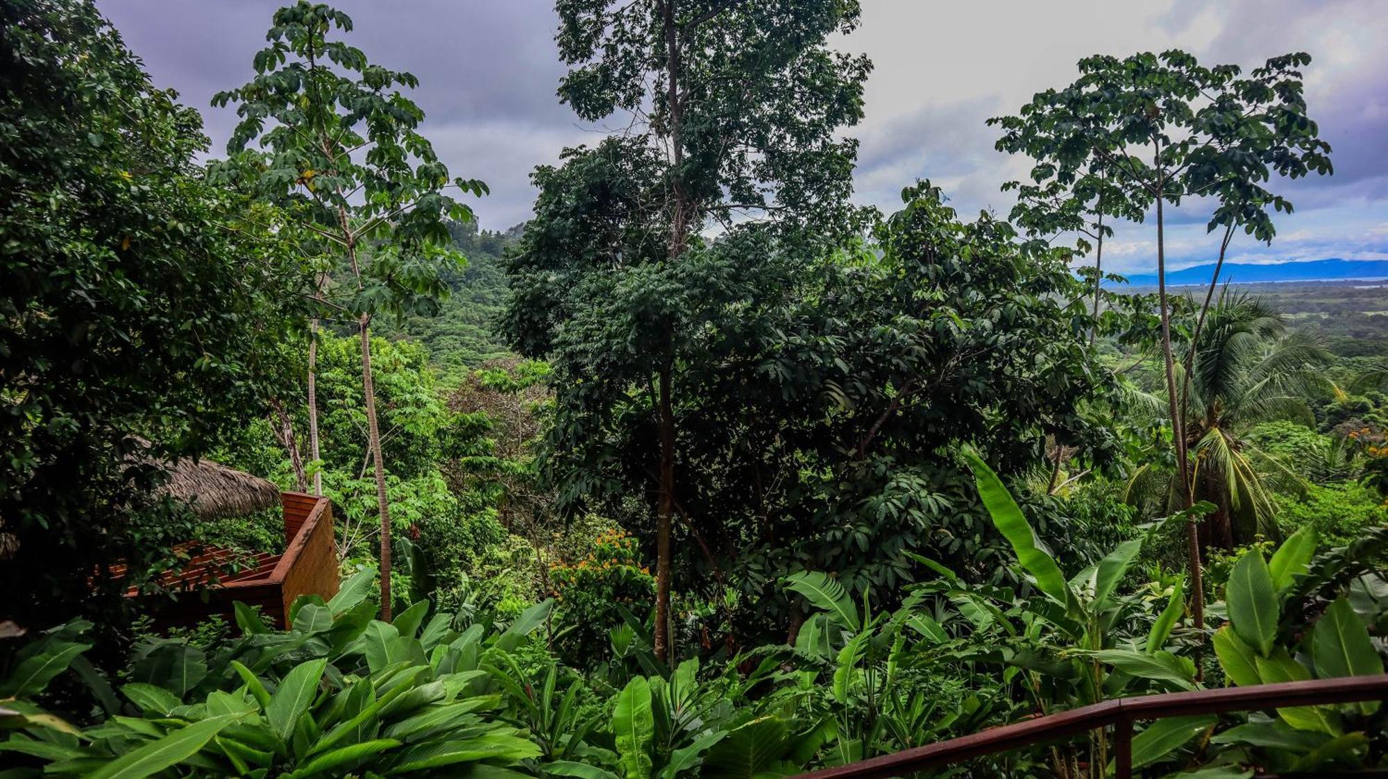 Lapa Rios Lodge By Boeena Puerto Jiménez Kültér fotó