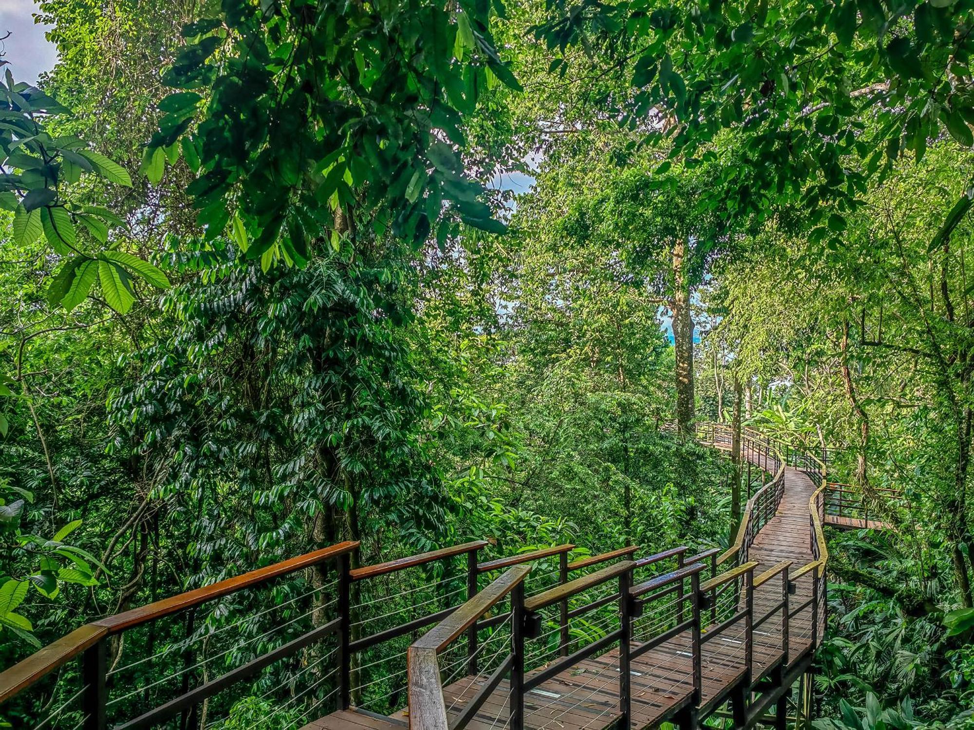 Lapa Rios Lodge By Boeena Puerto Jiménez Kültér fotó